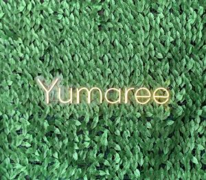Yumaree Coffee &  Eatery